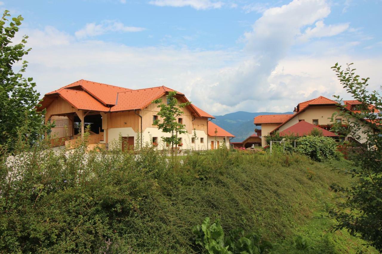Apartments Organic Tourist Farm Jeglijenk Sentjanz pri Dravogradu Luaran gambar